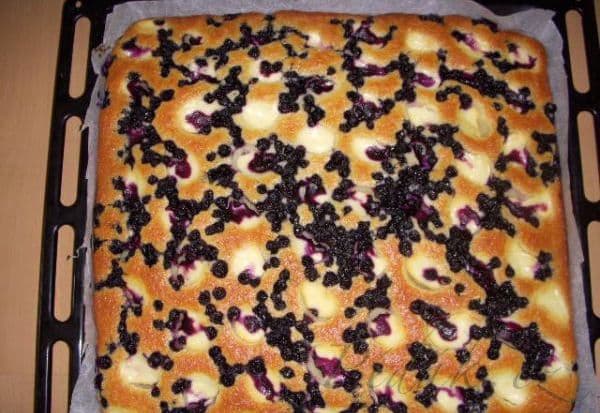 1. obrázek Ovocný koláč s tvarohem a ovocem