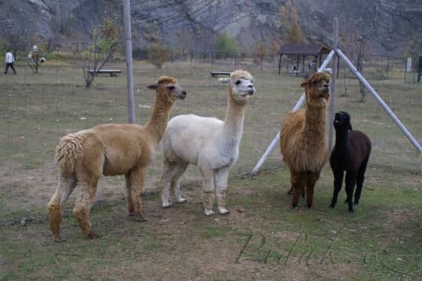 1. obrázek Lamacentrum Hády - Brno