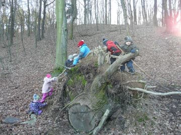 Obrázek Mateřská škola Na Cibulce - Praha 5