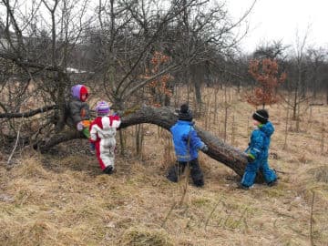6. obrázek Lesní klub Kopretina- Příbram
