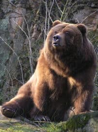 4. obrázek Zoo Děčín
