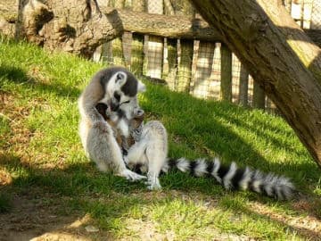 4. obrázek Zoopark zájezd- Kladno