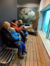 3. obrázek Vodní dům - Hulice