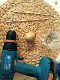 3. obrázek Avokádo - pěstujeme doma a z pecky