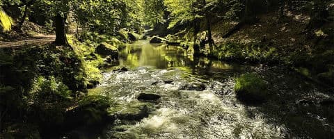 5. obrázek Soutěsky u Hřenska- České Švýcarsko