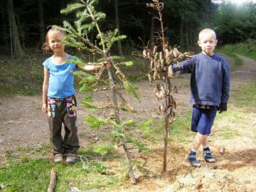 4. obrázek Lesní rodinný klub na Tišnovsku - Lesní školka - Brno-venkov
