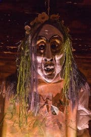 3. obrázek Muzeum strašidel - Olešnice