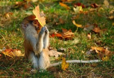 6. obrázek ZOO Olomouc