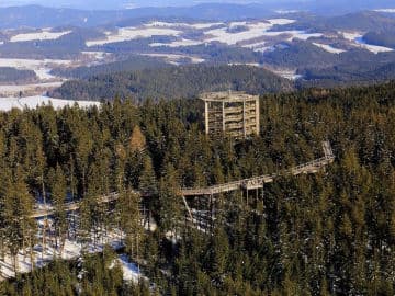2. obrázek Stezka korunami stromů - Active Park Lipno