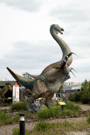 5. obrázek DinoPark Harfa Praha