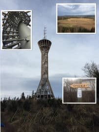 Obrázek Výlet po Ptačí stezce na rozhlednu Špulka 