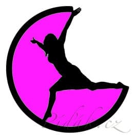 Obrázek Cvičení pro maminky s kočárkem i s chodícími dětmi