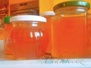 Obrázek Med z květů sedmikrásky- chudobky