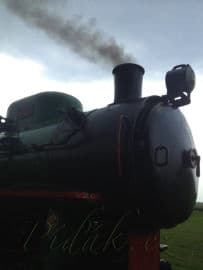 5. obrázek Řepařská drážka Sendražice  - výlet parní nebo dieslovou mašinkou - Kolín