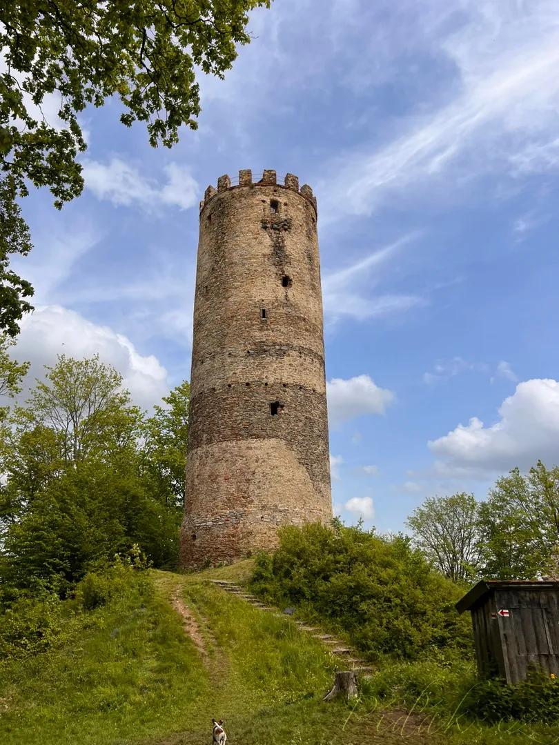 1. obrázek Zřícenina hradu Šelmberk