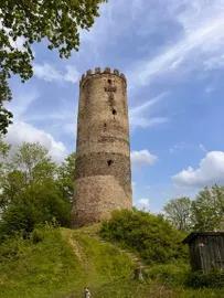 Obrázek Zřícenina hradu Šelmberk