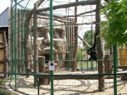 4. obrázek Rodinná Zoo Chleby