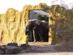 1. obrázek Zoo Dvůr Králové