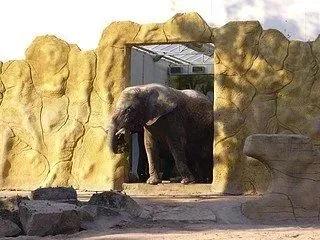 Obrázek Zoo Dvůr Králové