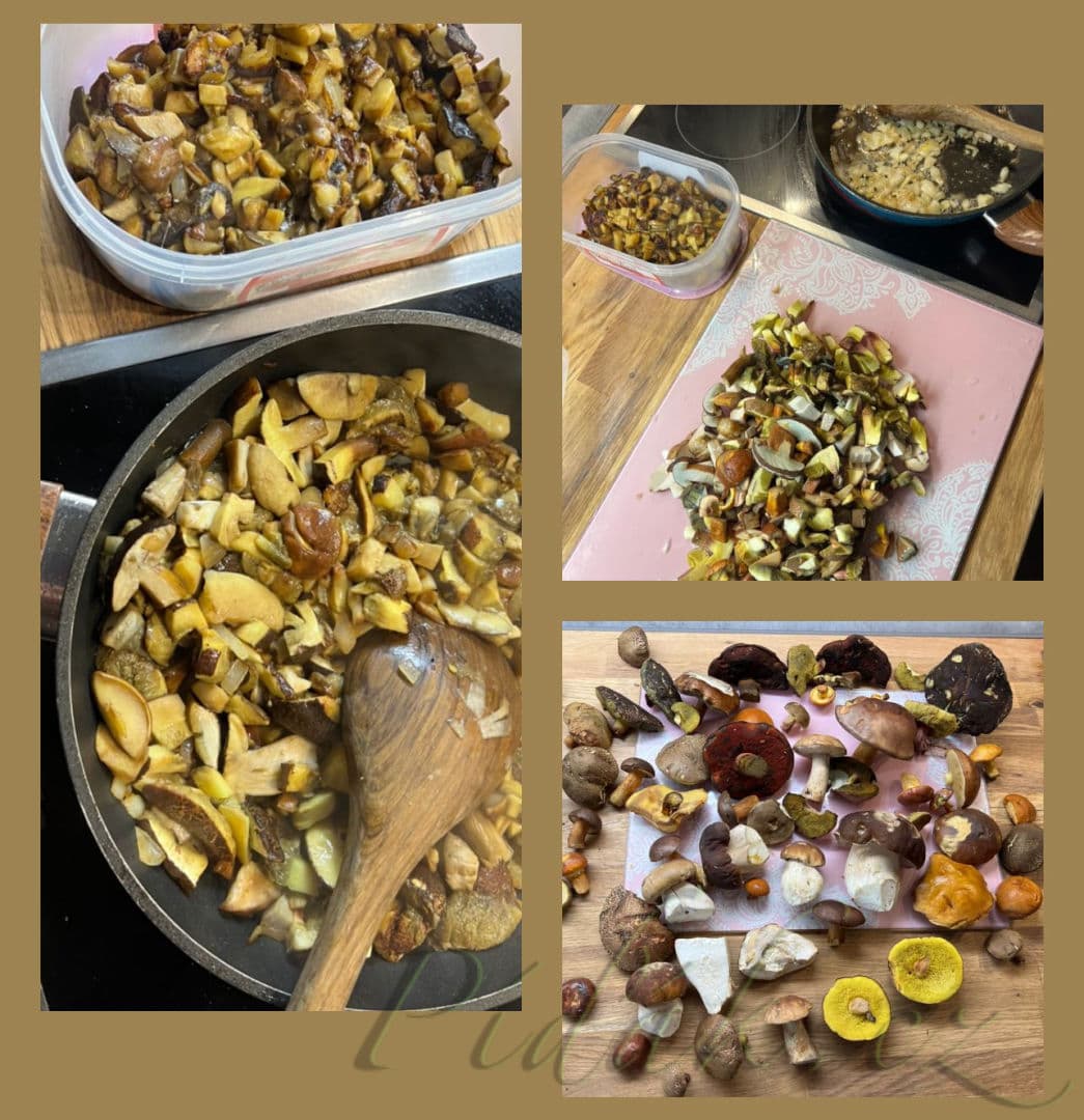 1. obrázek Jak správně zamrazit houby a proč 1. obrázek Jak správně zamrazit houby a proč