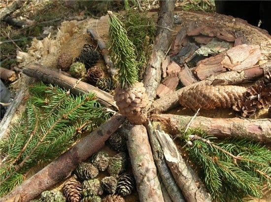 1. obrázek Dětský lesní klub Stromík- Brno venkov 1. obrázek Dětský lesní klub Stromík- Brno venkov