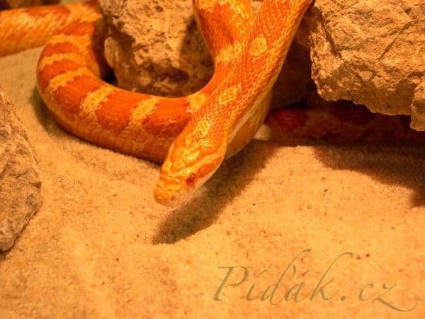 1. obrázek Mini Zoo Štramberk Aqua Terra 1. obrázek Mini Zoo Štramberk Aqua Terra