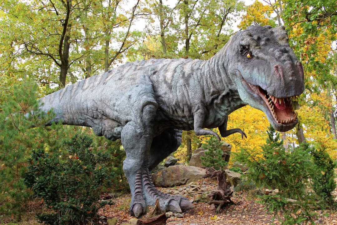 1. obrázek DinoPark ZOO Plzeň 1. obrázek DinoPark ZOO Plzeň