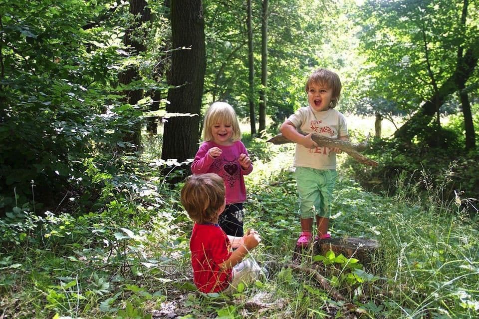 1. obrázek Sedmikvítek - lesní mateřská školka - Mníšek pod Brdy 1. obrázek Sedmikvítek - lesní mateřská školka - Mníšek pod Brdy
