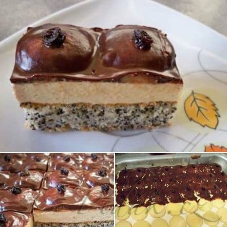 1. obrázek Černoškine prsia 1. obrázek Černoškine prsia