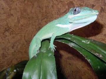 7. obrázek Mini Zoo Štramberk Aqua Terra 7. obrázek Mini Zoo Štramberk Aqua Terra