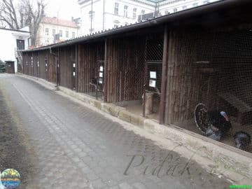 7. obrázek Ekocentrum Zahrada - Mladá Boleslav 7. obrázek Ekocentrum Zahrada - Mladá Boleslav