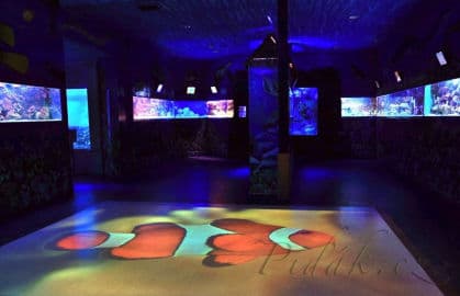 3. obrázek Mořský svět - Praha 3. obrázek Mořský svět - Praha