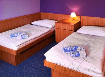 2. obrázek Horský hotel Alfaresort - Deštné v Orlických horách 2. obrázek Horský hotel Alfaresort - Deštné v Orlických horách