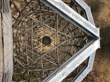 3. obrázek Rozhledna Doubravka 3. obrázek Rozhledna Doubravka