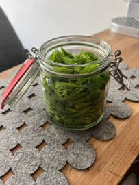 Obrázek Smrkové výhonky tonikum na vlasy