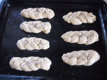 2. obrázek Housky z Nezdic 2. obrázek Housky z Nezdic