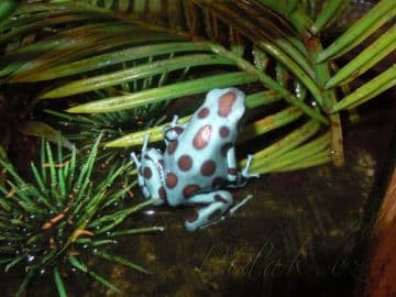 10. obrázek Mini Zoo Štramberk Aqua Terra 10. obrázek Mini Zoo Štramberk Aqua Terra