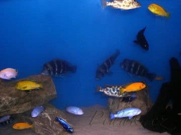 2. obrázek Mini Zoo Štramberk Aqua Terra 2. obrázek Mini Zoo Štramberk Aqua Terra