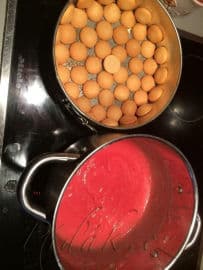 7. obrázek Mokrej pes od babičky 7. obrázek Mokrej pes od babičky