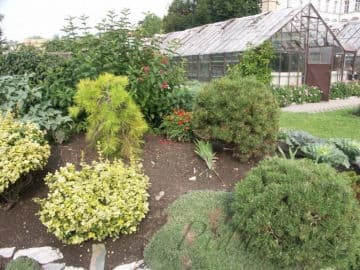 2. obrázek Ekocentrum Zahrada - Mladá Boleslav 2. obrázek Ekocentrum Zahrada - Mladá Boleslav