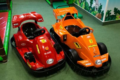 8. obrázek Pampalánie - Ústí nad Labem 8. obrázek Pampalánie - Ústí nad Labem