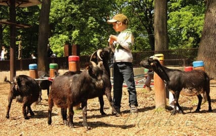 6. obrázek ZOO Ostrava 6. obrázek ZOO Ostrava