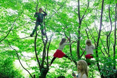 7. obrázek Země mateřská lesní školka - Praha západ 7. obrázek Země mateřská lesní školka - Praha západ