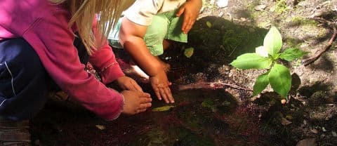 3. obrázek Sedmikvítek - lesní mateřská školka - Mníšek pod Brdy 3. obrázek Sedmikvítek - lesní mateřská školka - Mníšek pod Brdy