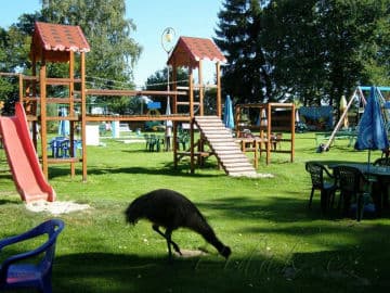 3. obrázek Zábavní park Nepomuk 3. obrázek Zábavní park Nepomuk