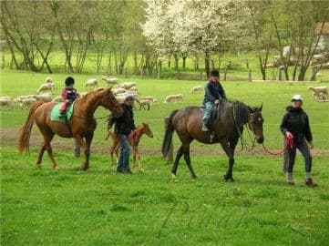 6. obrázek Dětský lesní klub Stromík- Brno venkov 6. obrázek Dětský lesní klub Stromík- Brno venkov