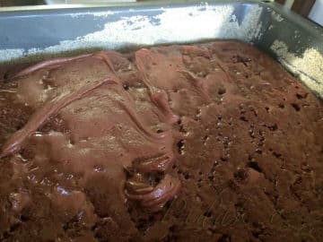 27. obrázek Kokosový mokrouš - Bob a Nikča 27. obrázek Kokosový mokrouš - Bob a Nikča