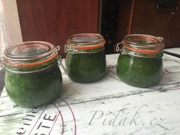 2. obrázek Pesto z medvědího česneku by Romča 2. obrázek Pesto z medvědího česneku by Romča