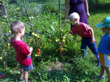 7. obrázek Lesní skřítci lesní školka- Brno- venkov 7. obrázek Lesní skřítci lesní školka- Brno- venkov