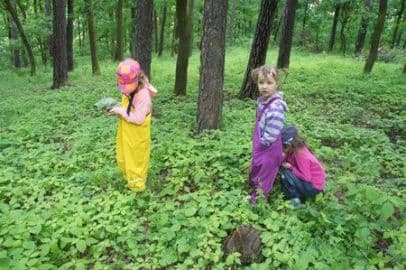 2. obrázek Malý strom- Lesní mateřská škola- Brno 2. obrázek Malý strom- Lesní mateřská škola- Brno